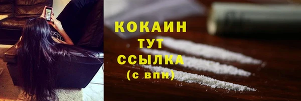 дживик Козловка