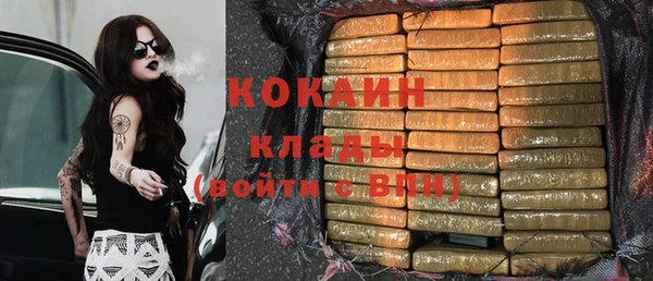 ГАЛЛЮЦИНОГЕННЫЕ ГРИБЫ Корсаков