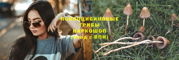 прущая мука Коряжма