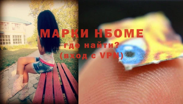 прущие грибы Козельск