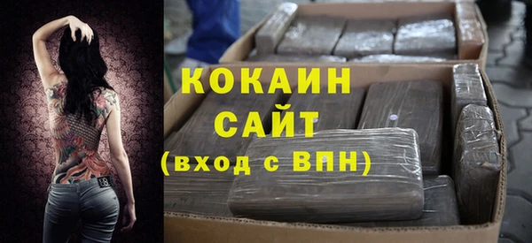прущие грибы Козельск