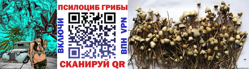 Галлюциногенные грибы прущие грибы  где найти   Красноперекопск 